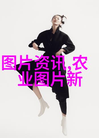 不辞冰雪为卿热一段忘返的爱情传说