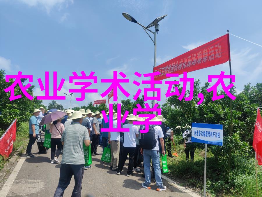 茶叶品种的丰富多样性与文化内涵的探究
