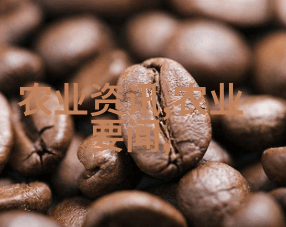 爆款植物深度解析2023年十大暴利药材种植趋势