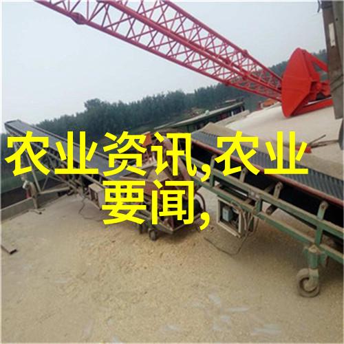 花海盛宴揭秘花卉市场批发的秘密大师