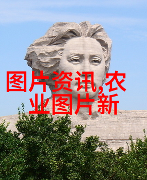 鸡爪槭价格12公分绿色植物装饰家居