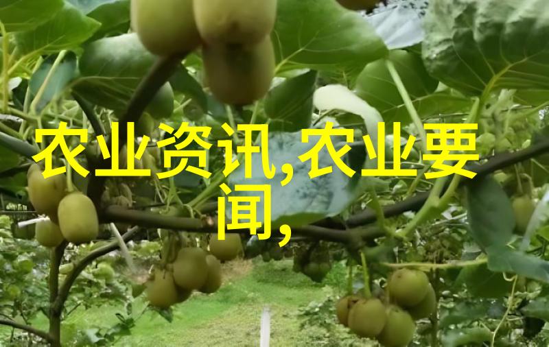 有点硬一个邪恶的网站我是如何发现那个超级危险网站的