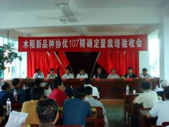 我再创超级稻世界高产新纪录
