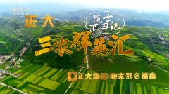CCTV-17 三农群英汇 院士下田记九零后茶医生