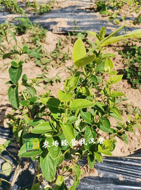 涓浗鍐滀笟鏂伴椈缃慱鏂伴椈鍐滀笟鍥剧墖澶у叏_鍐滀笟鍥剧墖鏂伴椈/