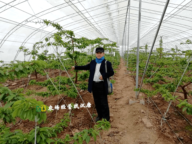 鏂伴椈鍐滀笟鍥剧墖澶у叏_鍐滀笟鍥剧墖鏂伴椈_涓浗鍐滀笟鏂伴椈缃?/