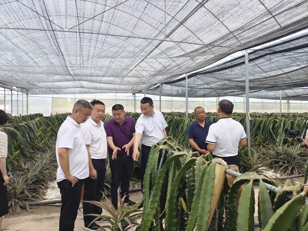 绉戞櫘鍐滀笟鏂囩珷鑼冩枃_鍐滀笟绉戞櫘鏂囩珷_绉戞櫘鍐滀笟鏂囩珷鎬庝箞鍐?/