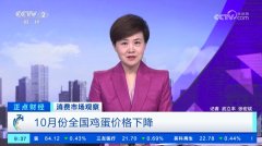 CCTV-2正点财经消费市场观察 10月份全国鸡蛋价格