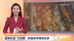 CCTV-17 三农长短说长关注丰收中国 北京 蜜蜂住进