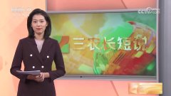 CCTV-17 三农长短说长关注麦收之后再唠两句nbsp 小