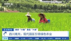 媒体聚焦南充现代农业 浏览量1.8亿