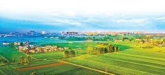 农业强农农民致富