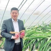 媒体报道看网红农民如何玩转粉丝经济