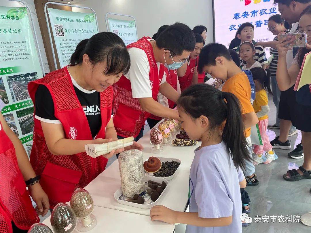 农业新闻_农业要闻_农业要闻代收费怎么取消