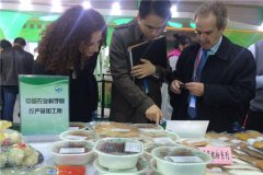 马铃薯主食化成果在杨凌农高会上成为新亮点