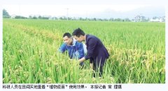 经济日报提高免疫力植物少得病-