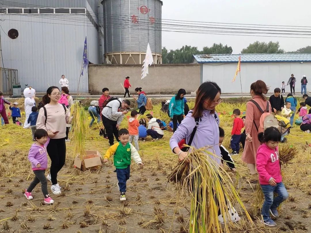 农业科普展示内容_农业科普活动_科普农业活动有哪些