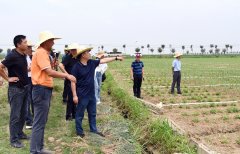 我校智慧农业示范基地建设研讨会在襄阳召开