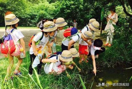 农业科普展示内容_农业科普活动_农业科普知识宣传材料