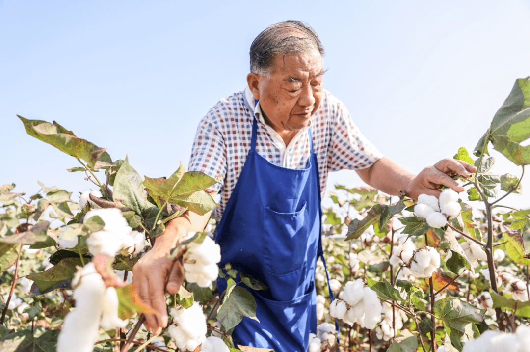 农业科研成果有哪些_农业科研成果_农业研究成果