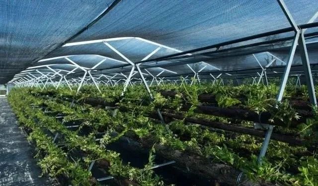 农业科普知识宣传材料_农业科普活动_科普农业活动主题