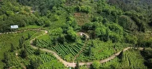 科普农业活动主题_农业科普知识宣传材料_农业科普活动