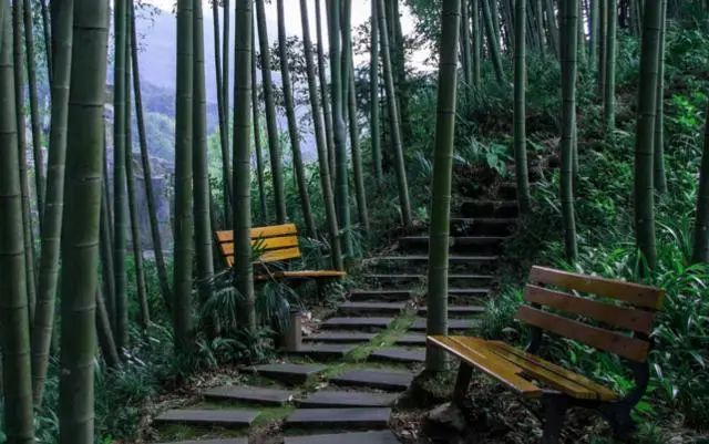 农业科普知识宣传材料_农业科普活动_科普农业活动主题