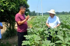 深入解决基层农业科研院所人才流失之痛