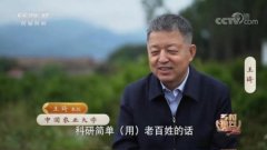 中央电视台农业农村频道对中国农业大学王琪教