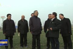 赵广才研究员为全国小麦春季田间管理献计献策