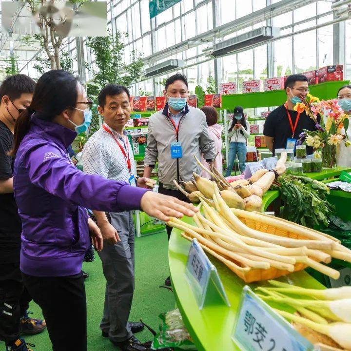 农业科普展示内容_农业科普宣传栏_农业科普动态