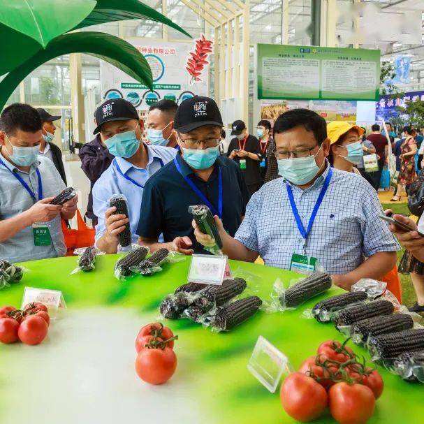 农业科普展示内容_农业科普动态_农业科普宣传栏