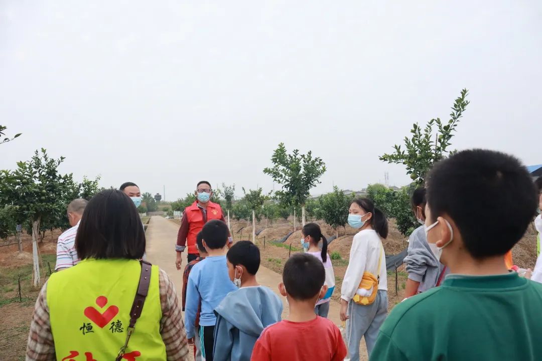 农业科普展示内容_农业科普动态_农业科普是什么意思