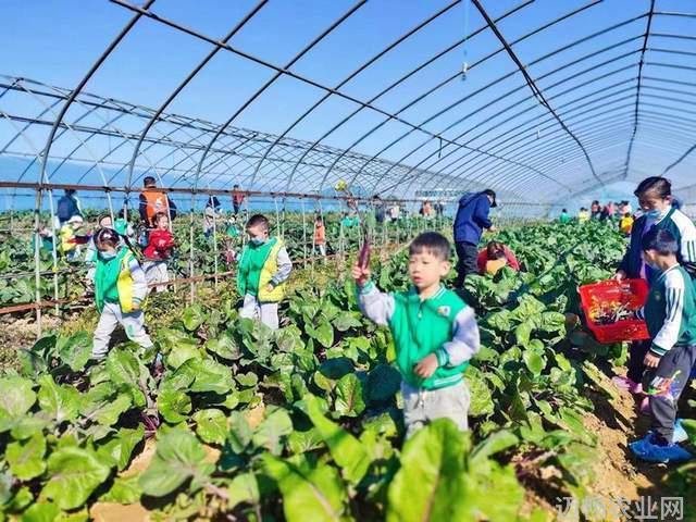 农业科普知识内容_科普农业知识_农业科普文章