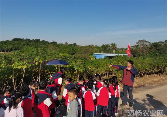 农业科普文章_科技科普ppt文章_科普类的文章