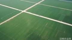 安徽夯实三农基本盘 奋力谱写农业强省建设新篇