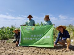 科创中国 沁农作物产业科技服务团助力粳稻和玉