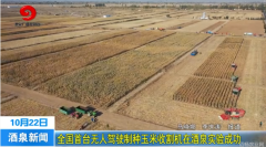 全国首台无人驾驶玉米收割机 在酒泉市下线并顺