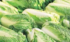 大白菜生长期巧施肥