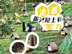人民日报 云南沧源振兴路上有蜜方