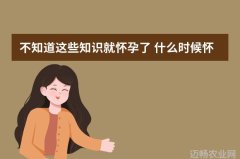 农业新闻市场报道分析