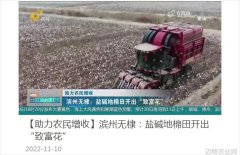 山东三农新闻联播助力农民增收滨州无棣盐碱地