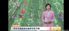 CCTV-17 三农长短说nbsp3月份全国蔬菜价格季节性下