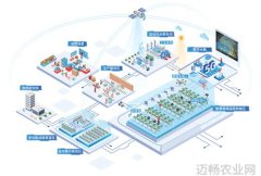 植物工厂有了智慧大脑 设施农业大有可为