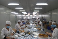 内蒙古通辽实施品牌战略 擦亮草原金字招牌