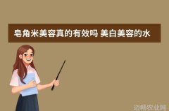农业新闻市场报道探析农业基层工作报道