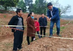 桃源站专家指导桃源县柑橘生产----中国科学院带