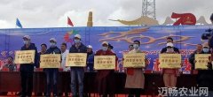 自治区开展2020年科技活动周和科技下乡集中服务