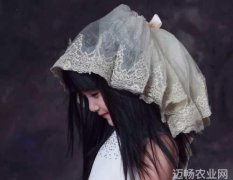 注重科研同时注重市场 浙江衢州农业微笑曲线正