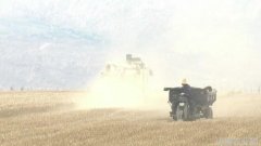 山西灵石新复垦土地试种小麦喜获丰收
